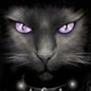 Meet your Posher, Bonnie